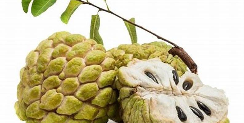 sugar apple