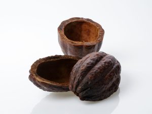 cocoa nut back 