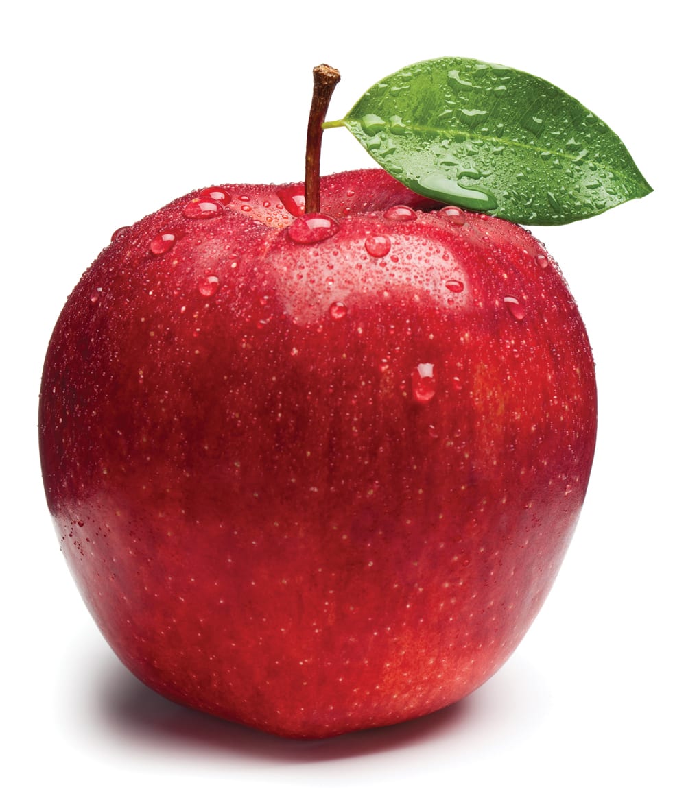 Apple (Malus domestica)