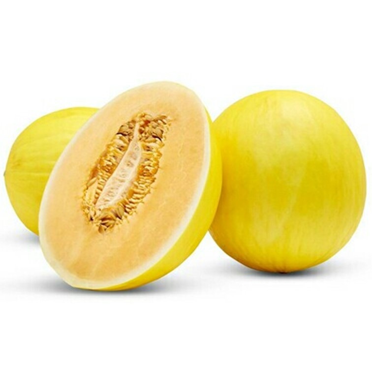 golden melon (Cucumis melo)