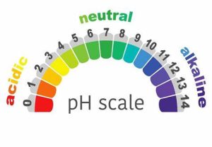 PH Scale