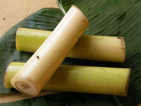 Banana Stem – Health Benefits