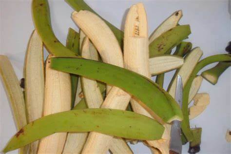 Plantain Peels – Health Benefits and Ways to Use